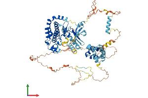 RIPK1 Protein (AA 1-671) (His tag)