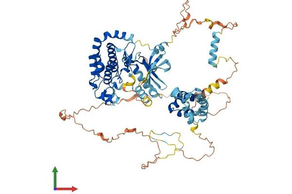 RIPK1 Protein (AA 1-671) (His tag)