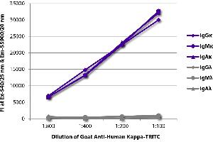 FLISA plate was coated with purified human IgGκ, IgMκ, IgAκ, IgGλ, IgMλ, and IgAλ. (Goat anti-Human Ig (Chain kappa) Antibody (TRITC))