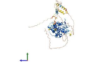 AlphaFold protein structure predicition of Mouse Recombinant Hs6st2 Protein, UniprotID Q80UW0 (HS6ST2 Protein (AA 1-612) (His tag))