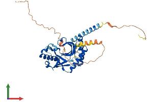 Protein Structure (PS) image for A Kinase (PRKA) Anchor Protein 7 (AKAP7) (AA 1-348) protein (His tag) (ABIN7551965)