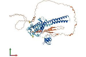 AlphaFold protein structure predicition of Human Recombinant SNX18 Protein, UniprotID Q96RF0 (SNX18 Protein (AA 1-628) (His tag))