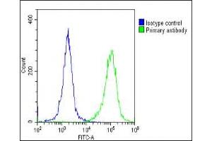 Overlay histogram showing HeLa cells stained with (ABIN1539662 and ABIN2848878)(green line). (HNRNPR antibody  (N-Term))