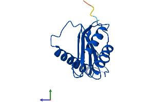 Protein Structure (PS) image for Trafficking Protein Particle Complex 1 (TRAPPC1) (AA 1-145) protein (His tag) (ABIN7544619)