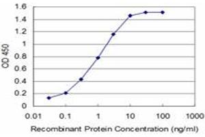 Detection limit for recombinant GST tagged TLX3 is approximately 0. (TLX3 antibody  (AA 192-291))