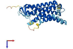 Olfactory Receptor, Family 1, Subfamily J, Member 2 (OR1J2) (AA 1-313) protein (His tag)