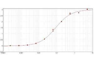 ELISA results of purified Goat Anti-GST Antibody tested against GST. (GST antibody)