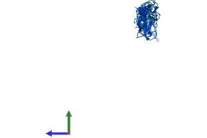 AlphaFold protein structure predicition of Mouse Recombinant Fhl2 Protein, UniprotID O70433 (FHL2 Protein (AA 1-279) (His tag))