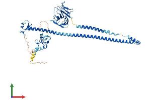 AlphaFold protein structure predicition of Mouse Recombinant Trim7 Protein, UniprotID Q923T7 (TRIM7 Protein (AA 1-510) (His tag))