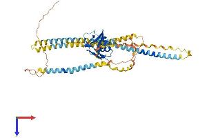 AlphaFold protein structure predicition of Mouse Recombinant Msr1 Protein, UniprotID P30204 (Macrophage Scavenger Receptor 1 Protein (MSR1) (AA 1-458) (His tag))