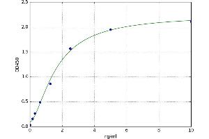 RAB10, Member RAS Oncogene Family (RAB10) ELISA Kit