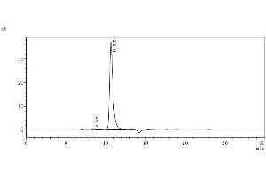 The purity of IL2RA was greater than 95 % as determined by SEC-HPLC