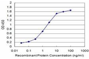 Detection limit for recombinant GST tagged CCL3 is approximately 0. (CCL3 antibody  (AA 24-92))