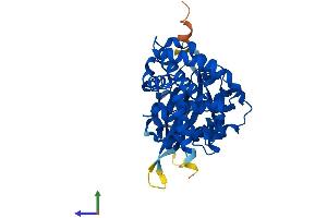 Protein Structure (PS) image for Aminoglycoside phosphotransferase Domain Containing 1 (AGPHD1) (AA 1-376) protein (His tag) (ABIN7557566)