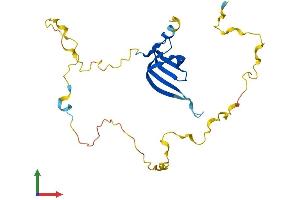 Protein Structure (PS) image for Small Nuclear Ribonucleoprotein Polypeptide N (SNRPN) (AA 1-240) protein (His tag) (ABIN7551600)