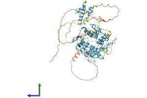 Protein Structure (PS) image for Zinc Finger Protein 311 (ZNF311) (AA 1-666) protein (His tag) (ABIN7545543)