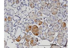 Image no. 1 for anti-Angiopoietin 4 (ANGPT4) (AA 25-112) antibody (ABIN599558) (Angiopoietin 4 antibody  (AA 25-112))