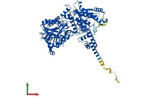 AlphaFold protein structure predicition of Mouse Recombinant Nadsyn1 Protein, UniprotID Q711T7