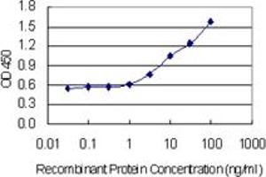Detection limit for recombinant GST tagged GABARAP is 0. (GABARAP antibody  (AA 1-117))