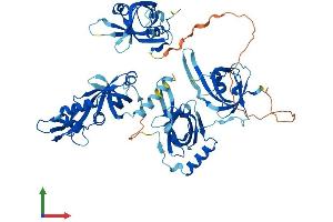 AlphaFold protein structure predicition of Human Recombinant RPA1 Protein, UniprotID P27694 (RPA1 Protein (AA 1-616) (His tag))