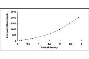 ELISA image for Hepcidin Antimicrobial Peptide (HAMP) ELISA Kit (ABIN416434)
