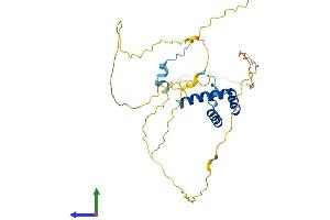 AlphaFold protein structure predicition of Mouse Recombinant Nkx1-2 Protein, UniprotID P42580