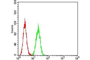 Flow cytometric analysis of Hela cells using GLRB mouse mAb (green) and negative control (red). (GLRB antibody  (AA 23-160))