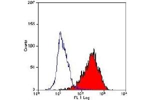 Staining of HUT78 cells with antibody ABIN118814 (CD90 antibody  (PE))