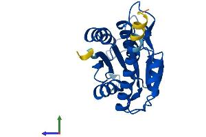 Protein Structure (PS) image for Pyroglutamyl-Peptidase I (PGPEP1) (AA 1-209) protein (His tag) (ABIN7550709)