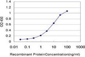 Detection limit for recombinant GST tagged IFNE1 is approximately 0. (IFNE antibody  (AA 109-208))