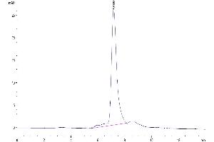 Size-exclusion chromatography-High Pressure Liquid Chromatography (SEC-HPLC) image for Triggering Receptor Expressed On Myeloid Cells-Like 2 (TREML2) (AA 25-270) protein (His tag) (ABIN7275751)