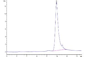 Size-exclusion chromatography-High Pressure Liquid Chromatography (SEC-HPLC) image for Thymic Stromal Lymphopoietin (TSLP) (AA 29-159) protein (His tag,Biotin) (ABIN7275800)