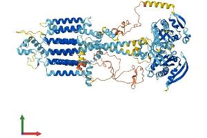 Protein Structure (PS) image for Adenylate Cyclase 6 (ADCY6) (AA 1-1168) protein (His tag) (ABIN7551952)