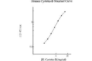 Image no. 1 for Cystatin B (Stefin B) (CSTB) ELISA Kit (ABIN5564570) (CSTB ELISA Kit)