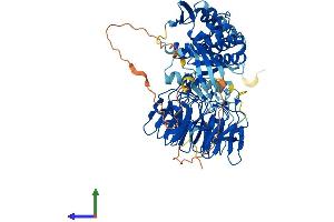 Protein Structure (PS) image for Influenza Virus NS1A Binding Protein (IVNS1ABP) (AA 1-642) protein (His tag) (ABIN7554780)