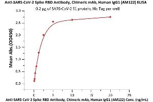 ELISA image for anti-SARS-CoV-2 Spike S1 antibody (ABIN6953206)