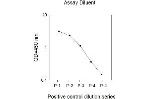 Image no. 2 for Epidermal Growth Factor Receptor (EGFR) ELISA Kit (ABIN625224) (EGFR ELISA Kit)