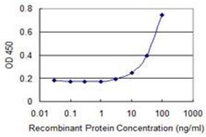 Detection limit for recombinant GST tagged ZHX3 is 1 ng/ml as a capture antibody. (ZHX3 antibody  (AA 863-955))