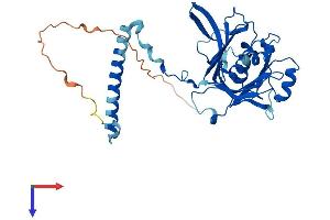 AlphaFold protein structure predicition of Mouse Recombinant Rpf1 Protein, UniprotID Q7TND5 (RPF1 Protein (AA 1-349) (His tag))