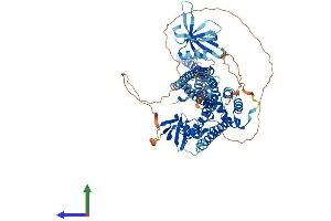 AlphaFold protein structure predicition of Human Recombinant ARHGAP10 Protein, UniprotID A1A4S6 (ARHGAP10 Protein (AA 1-786) (His tag))