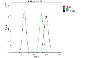 Flow Cytometry analysis of Hela cells using anti-Steroid sulfatase antibody (ABIN5693165). (STS antibody  (AA 297-396))