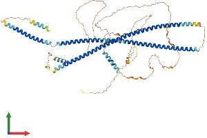 AlphaFold protein structure predicition of Mouse Recombinant Bfsp1 Protein, UniprotID A2AMT1