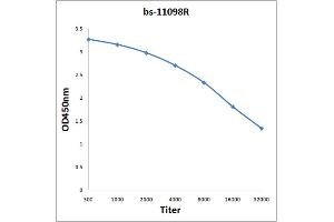 Antigen: 0. (NLGN1/NLGN2 (AA 251-350) antibody)