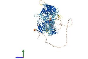 Protein Structure (PS) image for Myosin IE (MYO1E) (AA 1-1108) protein (His tag) (ABIN7554648)