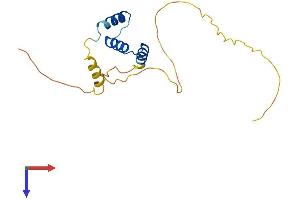 AlphaFold protein structure predicition of Mouse Recombinant Mzt2 Protein, UniprotID Q9CQ25 (MZT2 Protein (AA 1-159) (His tag))