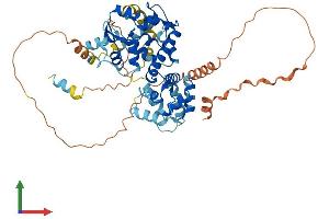 AlphaFold protein structure predicition of Mouse Recombinant Micu3 Protein, UniprotID Q9CTY5 (EFHA2 Protein (AA 1-523) (His tag))