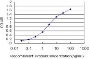 Detection limit for recombinant GST tagged FOXM1 is approximately 0. (FOXM1 antibody  (AA 702-801))
