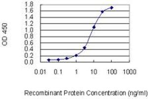 Detection limit for recombinant GST tagged TAGLN3 is 0. (Transgelin 3 antibody  (AA 1-199))