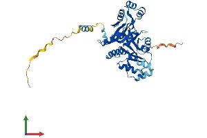 Protein Structure (PS) image for 5'-Nucleotidase, Cytosolic IA (NT5C1A) (AA 1-368) protein (His tag) (ABIN7551745)