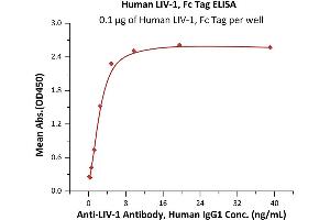 Immobilized Human LIV-1, Fc Tag (ABIN6973148) at 1 μg/mL (100 μL/well) can bind Anti-LIV-1 antibody, Human IgG1 with a linear range of 0.